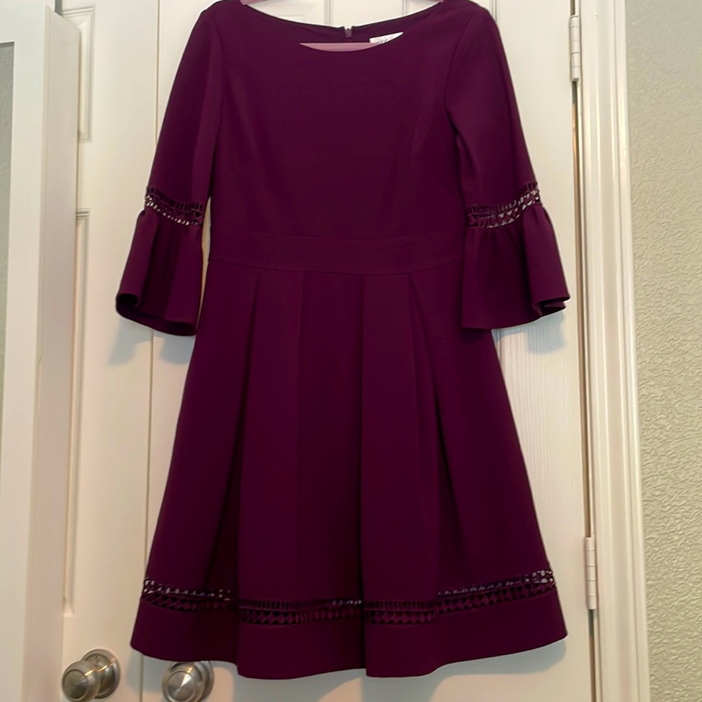 Eliza J Maroon Dress